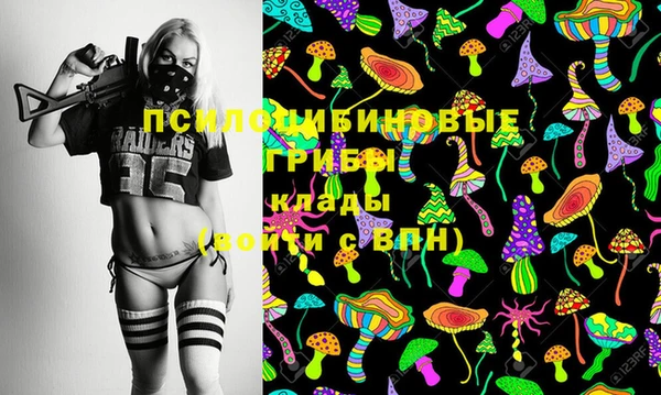 герыч Арсеньев